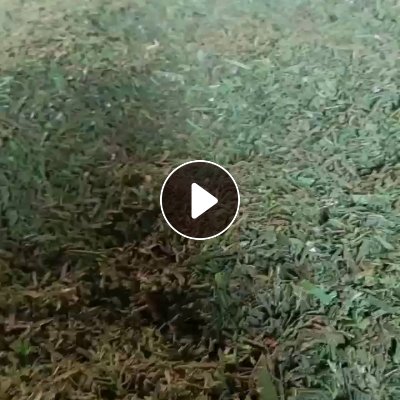 出售干粉pet打包带破碎料，月供80吨