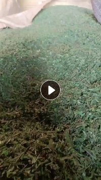 出售干粉pet打包带破碎料，月供80吨