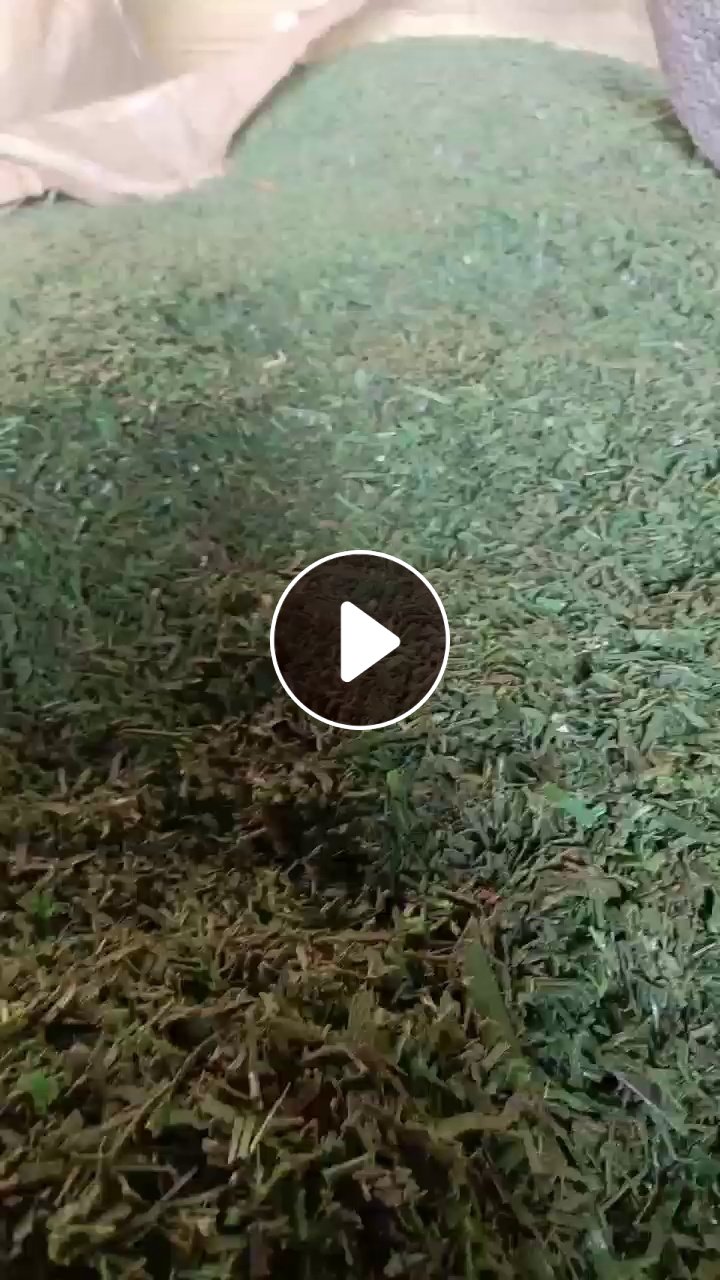 出售干粉pet打包带破碎料，月供80吨