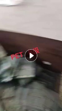 出售PET吸塑盒破碎料，每月200吨