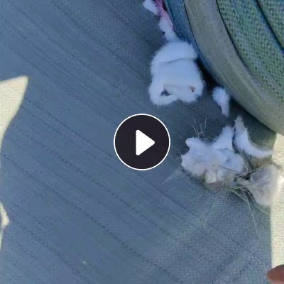 长期大量出售白色的毛绒玩具下脚料，涤纶废布，涤纶绒布