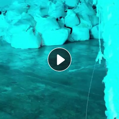 长期大量出售涤纶废丝，涤纶工业丝，现货够9.6米一车，白色，黑色都有