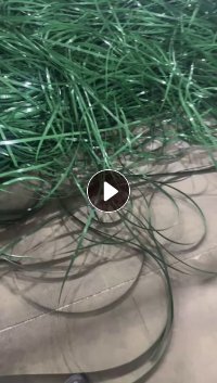 求购PET蓝白瓶片,PET打包带破碎料,干粉的,做塑钢打包带用,每天30-40吨