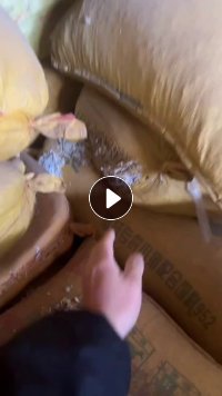 出售水破PP白丙破碎料，现货30吨左右