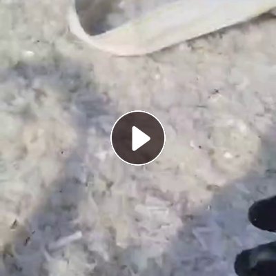 出售PP餐盒破碎料，可以水粉也可以干粉，清洗干净出的也有，月供一两百吨