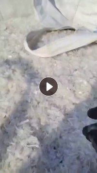 出售PP餐盒破碎料，可以水粉也可以干粉，清洗干净出的也有，月供一两百吨