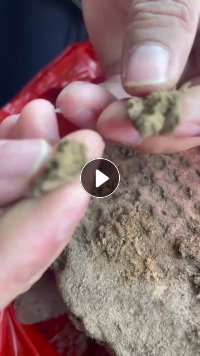 出售纸厂下来的泥浆