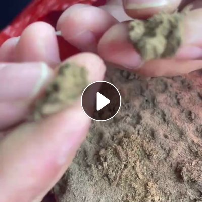 出售纸厂下来的泥浆