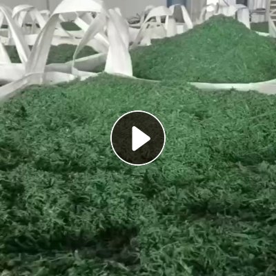 常年出售PET打包带破碎料