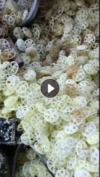 出售pp过滤球，现货20吨左右