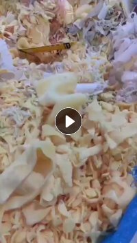 长期出售毛绒玩具边角料，涤纶材质的，货在广西钦州