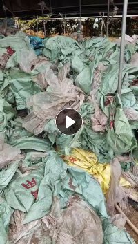 大量出售废旧编织袋,装有机肥下来的