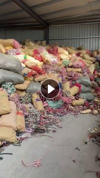 常年大量出售EVA鸡爪料，月供700吨