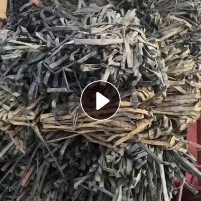 出售滴灌带毛料，月供60吨