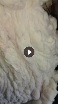 长期出售化纤棉,大白棉,开松棉,可以纺纱,月供100吨,货在江西赣州