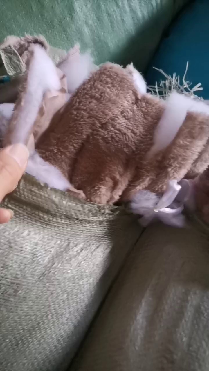 长期出售涤纶废布，涤纶边角料，可造粒做泡料用，现货五六吨