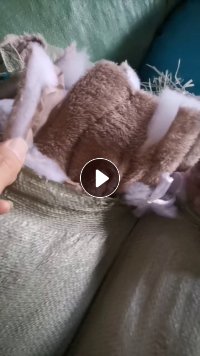 长期出售涤纶废布，涤纶边角料，可造粒做泡料用，现货五六吨