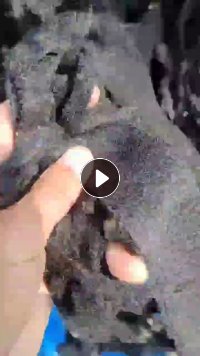 长期出售汽车顶棚汽车内饰料,开花料,月供70吨左右,货在江苏江阴