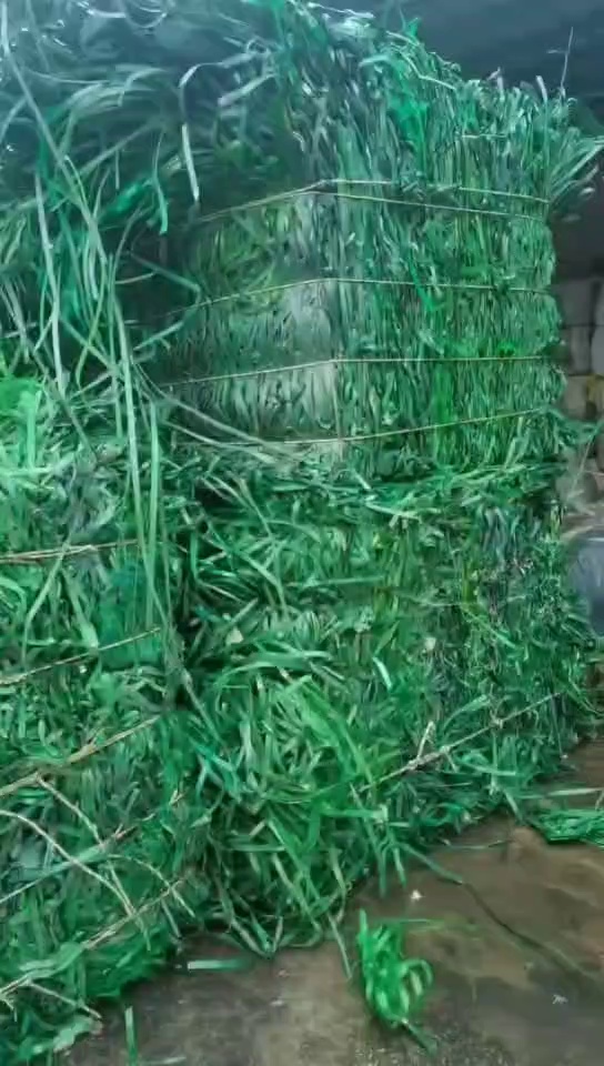 长期出售pet打包带废料，现货30吨