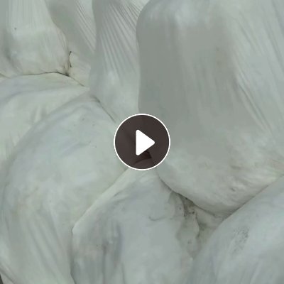 厂家长期出售涤纶废丝，涤纶低弹丝，涤纶水丝，现货9.6米一车