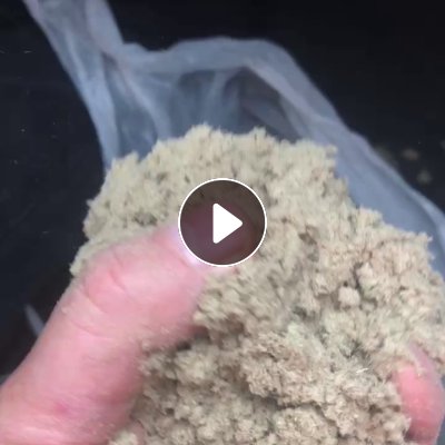 长期出售纺纱厂下来的涤棉粉末，毛毛料，50涤50棉，现货四五十吨