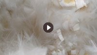 长期出售白色的pbt废丝,pbt丝,现货100吨左右
