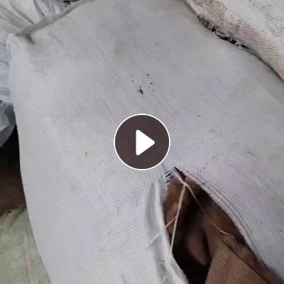 长期出售涤纶切毛布，毛毛复合，切毛布三色，涤纶废布，做泡料用，月供100多吨，货在浙江嘉兴