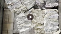 回收PVC膜中性薄膜材料硬质料卷筒