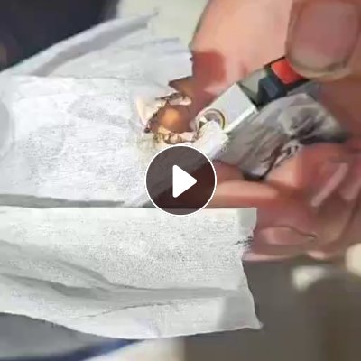 长期大量收购PET无纺布卷，5-20公分宽左右，做绳子用的，厂在山东滨州