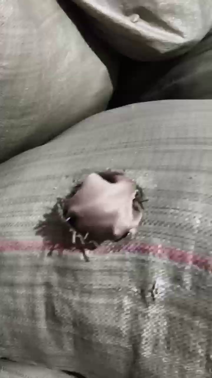 出售杂色涤纶废布（没有黑色），和丝棉，现货六七吨，长期有货，江苏苏州常熟