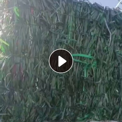 长期出售pet打包带，现货6.8一车