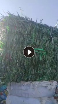 长期出售pet打包带，现货6.8一车