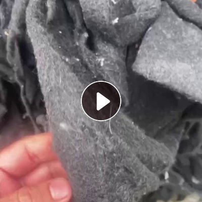 本厂求购软的涤纶汽车内饰边料，软地毯边角料，开花用，月需100多吨