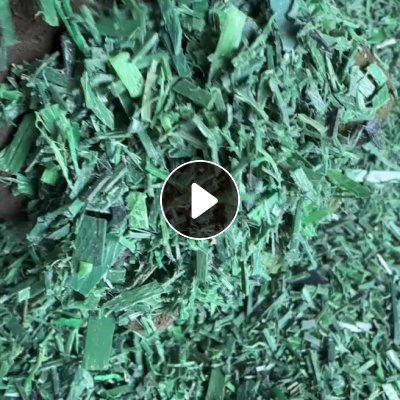 长期出售打包带pet粉碎料