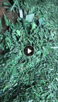 长期出售打包带pet粉碎料