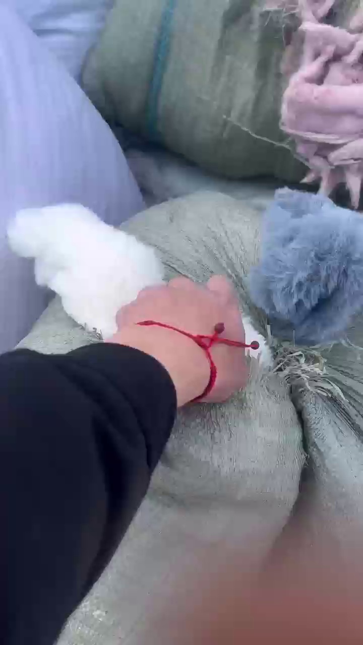 出售涤纶废布，纯涤的白色、浅色、中色、黑涤纶和氨纶都有，现货200吨，河北保定