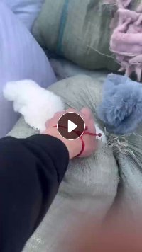 出售涤纶废布，纯涤的白色、浅色、中色、黑涤纶和氨纶都有，现货200吨，河北保定