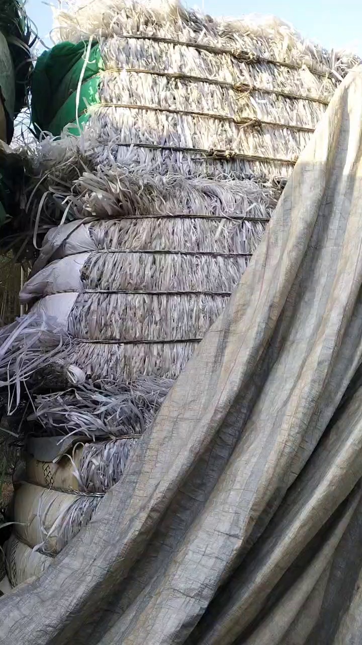出售PP打包带毛料，有透明的，也有杂色的飘沉打一起，长期有货