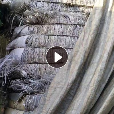 出售PP打包带毛料，有透明的，也有杂色的飘沉打一起，长期有货