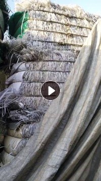 出售PP打包带毛料，有透明的，也有杂色的飘沉打一起，长期有货