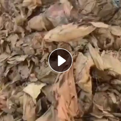 长期出售杂膜炼油料，月供200吨