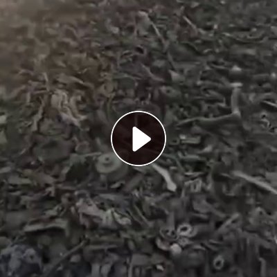 长期出售杂橡胶，现货1000吨左右