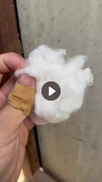长期出售棉棒开出来的二级棉，再生棉