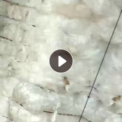 长期出售高压膜废料