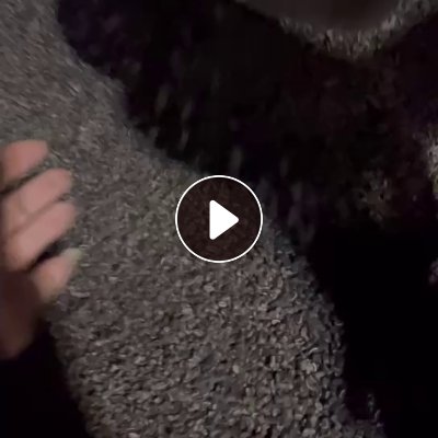 出售沉底pp打包带颗粒，月供60吨