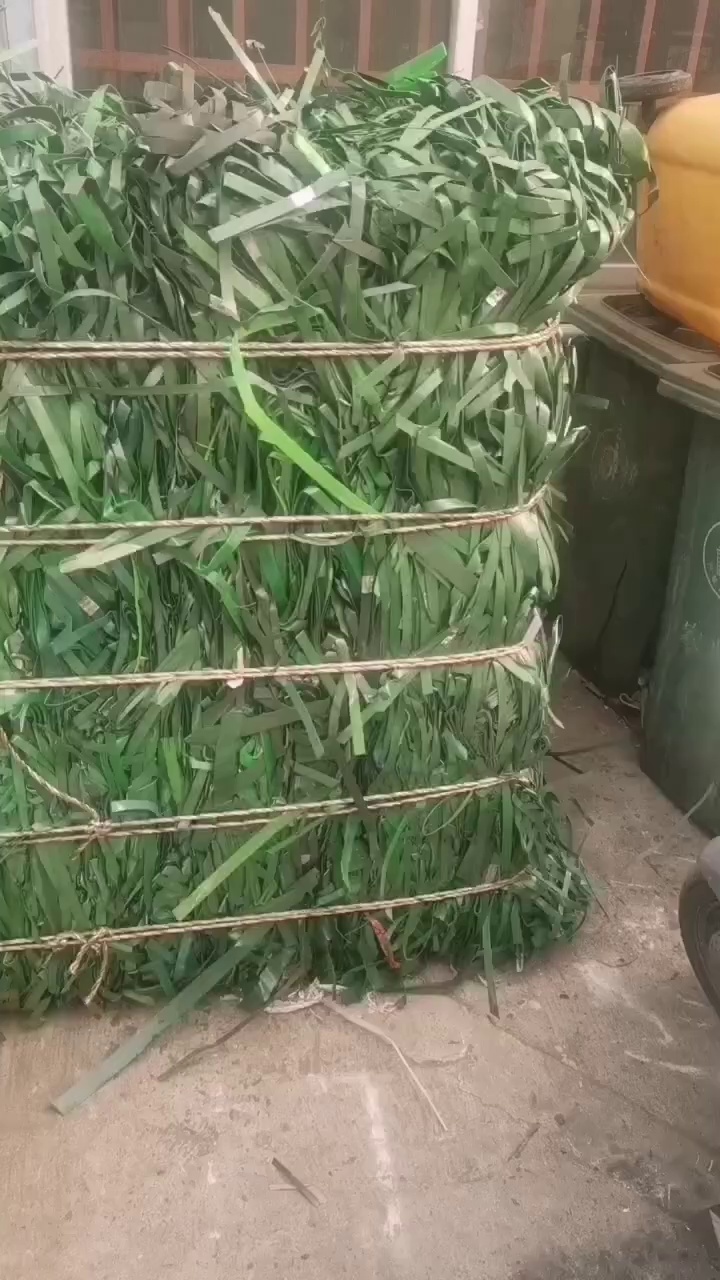 出售PET打包带毛料，长期有货