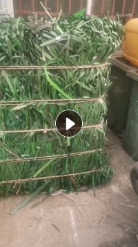 出售PET打包带毛料，长期有货