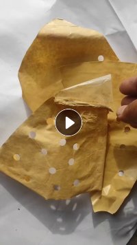 出售淋膜纸废料，有黄色和白色