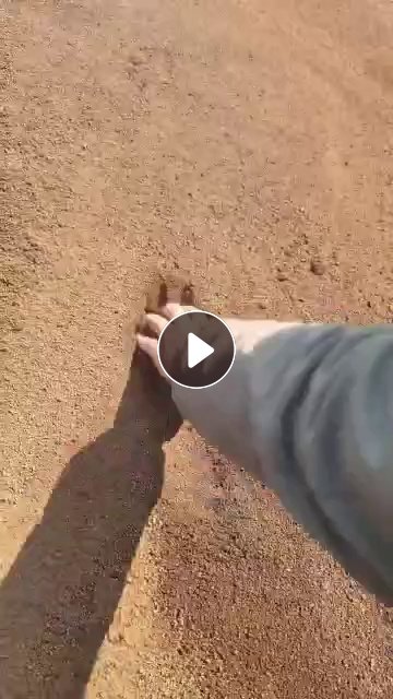 大量出售铁锈色细铁渣