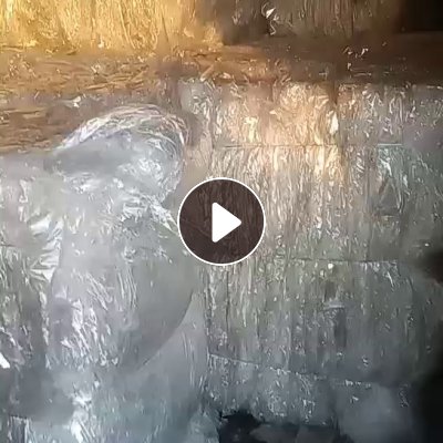 长期出售OPP膜废料，无胶的